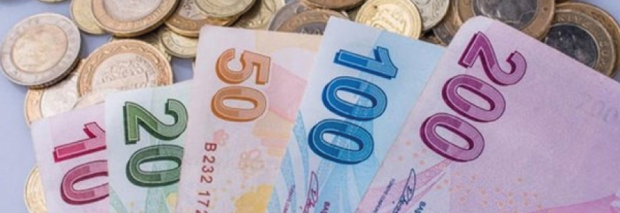 Diğer özel amaçlı Tespit ve Tasdik Raporları